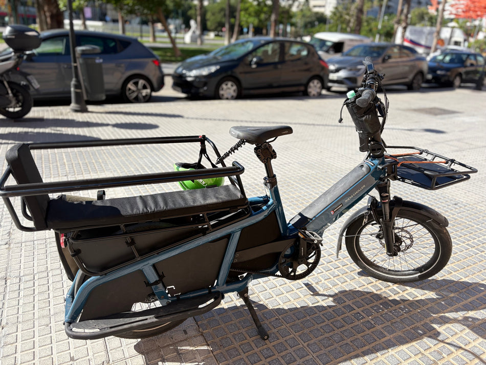 Riese und Müller Multitinker Vario