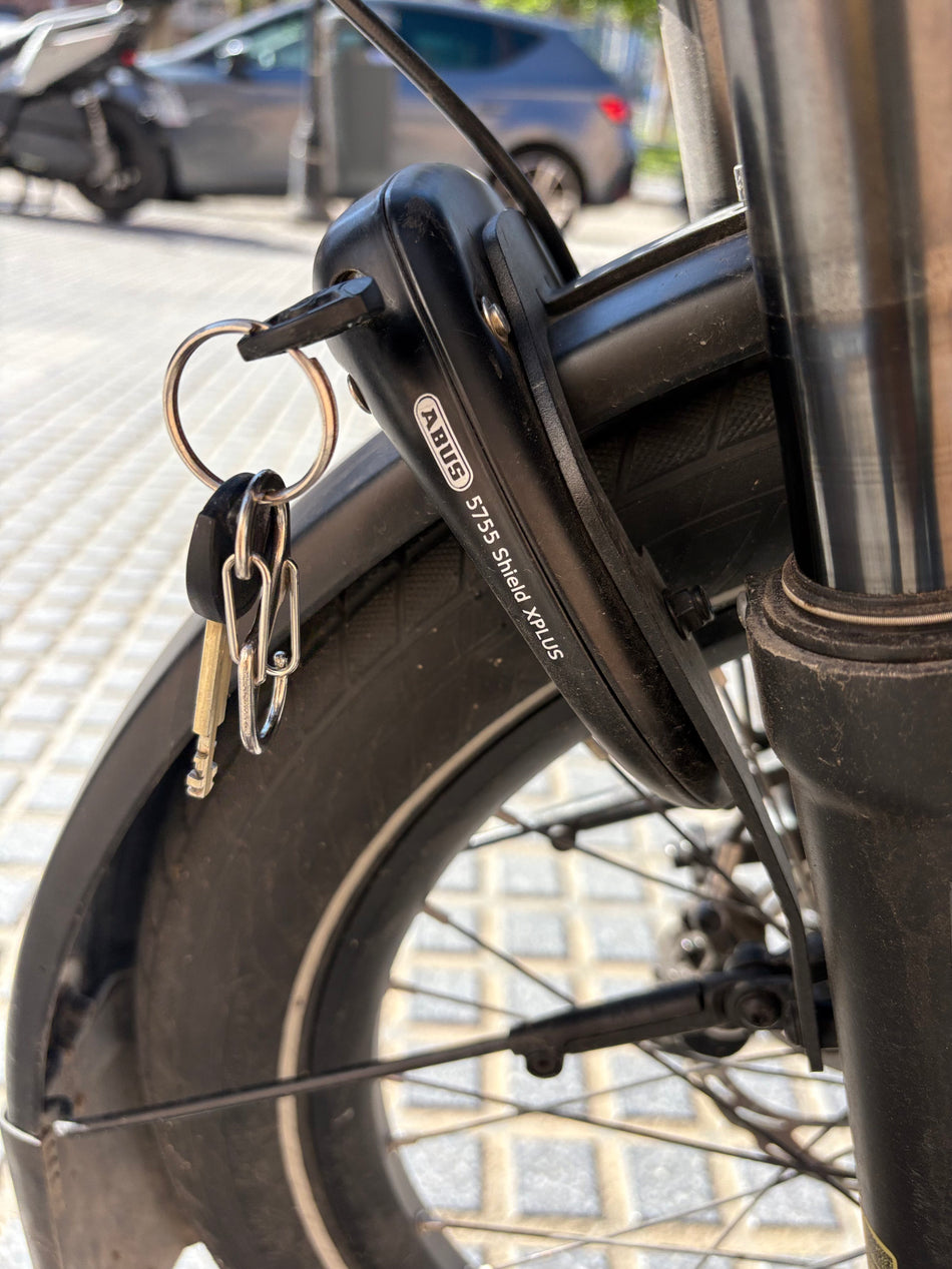 Riese und Müller Multitinker Vario