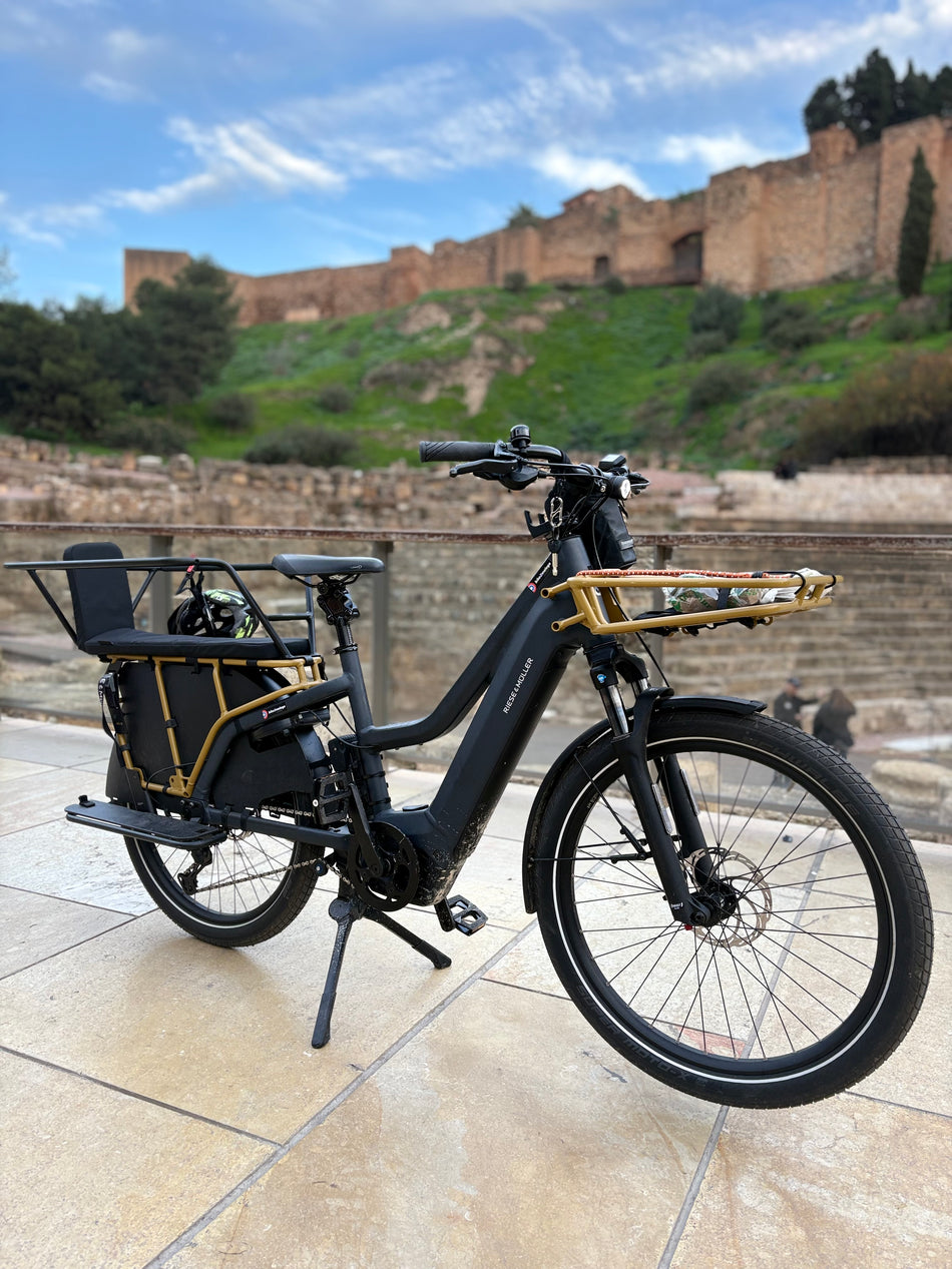 Riese & Müller Multicharger Mixte Family